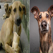 [UZBEK] IBRAGIM777 zōr