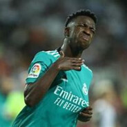 落尽梨花悦又西