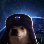 Perro de la Nasa