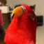 wuewuewue | ban.exe