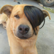 追我手机自动下载原神