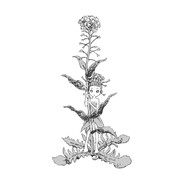 Venaxis avatar