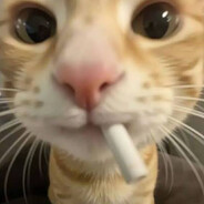 FInnish renyan - steam id 76561198870320666