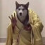 官人沐风