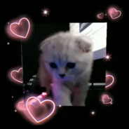 Кот Мазеллова