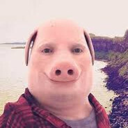 Pig