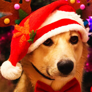 Собачья бойня