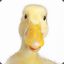Quack-quack
