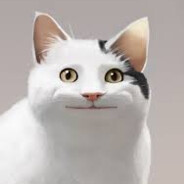 Ketoman