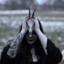 Insu_Nightmare