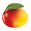 Moderately Warm Mangos