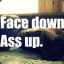 Face Down Ass Up