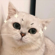 大雪封山庙门紧闭可我不是林冲