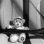 turo_444