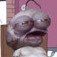 LankyFranky