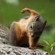 吃屎勿忘拉屎人