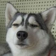 采姑娘的色蘑菇