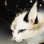 Avatar of eis