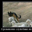 ОВЧУРКА