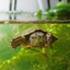 Säljare
