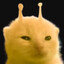 Ylorp's avatar