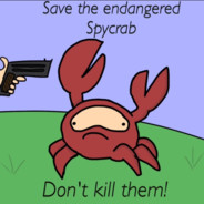 SPYCRAB PROTECTION SERVICES.