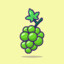 Cool Green Grape