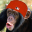 Chimp Bizkit