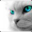 .:B4G:.~Cat Eyes~.:BoB:.