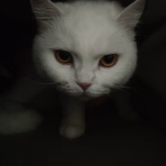 min
