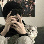 去码头整点薯条