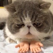 拉屎的人，吾一生之敌