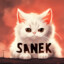 SANEKMR