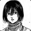 Mikasa