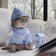 哥哥超级腻害的