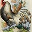 Illustrated Cock
