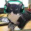 tungtao gaming