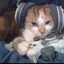xbox360cat