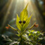 Thewanderingstonerr twitch = bio