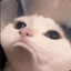Potrubie