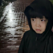 请不要欺骗我了