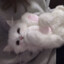 :3