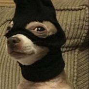 Perrito Ladron