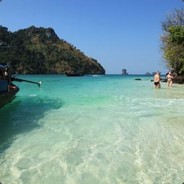 @龙背山森林公园