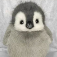 小企鹅三三宝宝