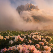 学盗号+QQ2875929049