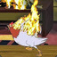 burningchicken