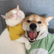 乂❤𝕊𝔫𝕖żԾ𝕜❤乂