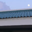 dragon sun