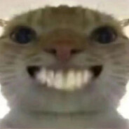 Primal ROAR